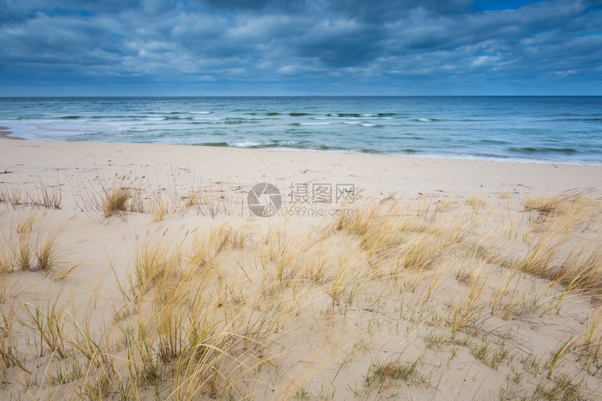 波罗的海沙滩风景美在大白天拍摄图片