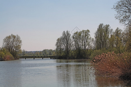 德国湖上的桥图片