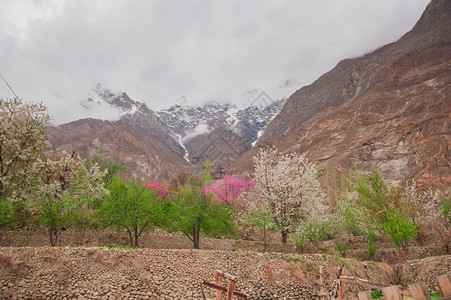 巴基斯坦Hunza山图片