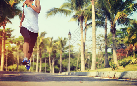 跑步在热带公园的健身女慢跑者腿女人健身慢跑图片