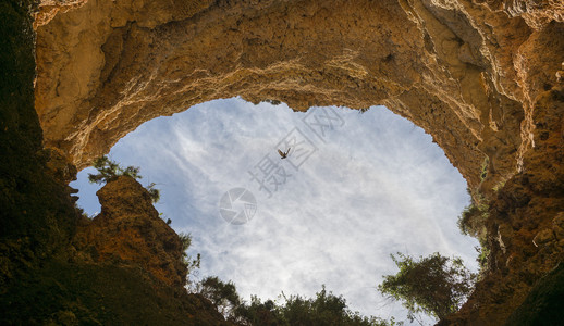 葡萄牙阿尔加维岩石间飞翔的赛鸥鸟图片
