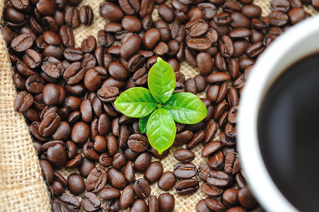 咖啡豆和绿咖啡叶背景图片