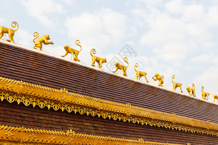 金猴子雕塑在寺庙屋顶图片