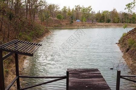 森林湖边的木码头图片