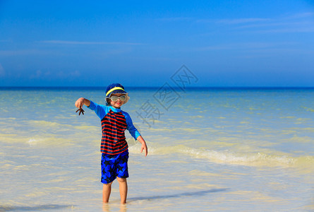 夏日热带海滩上抱着海星的小男孩图片