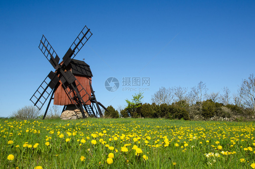 波罗的海瑞典奥兰岛传统风车旁图片