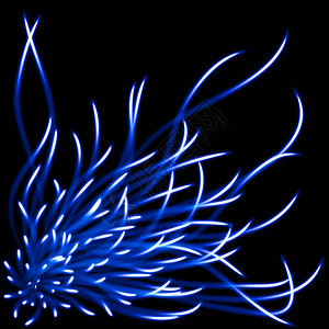 蓝色闪亮花朵植物或水母黑色底图片