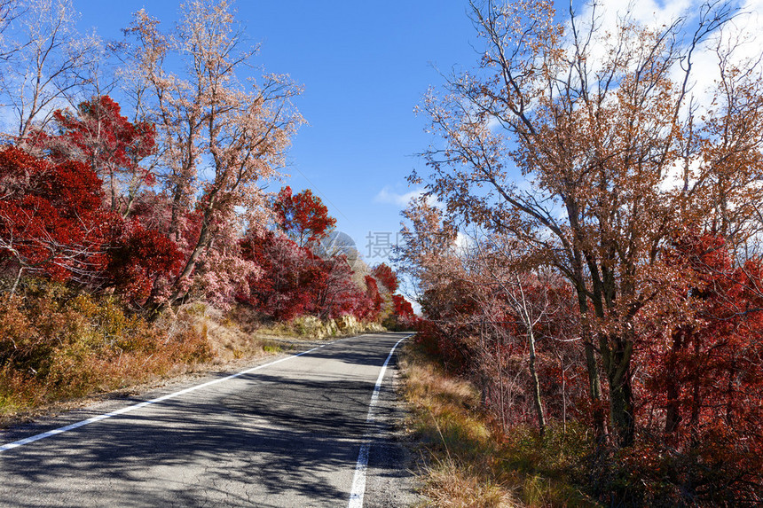 秋天的风景和道路图片