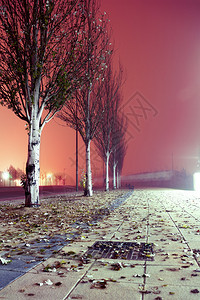 夜晚的城市街道冬季图像图片