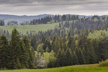 在春天的山地风景中穿过绿色谷地到波兰贝斯基迪山丘图片
