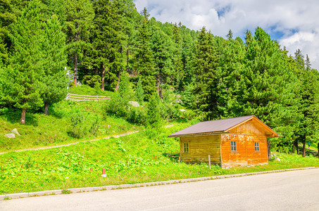 绿松树背景的木小屋奥地利高清图片