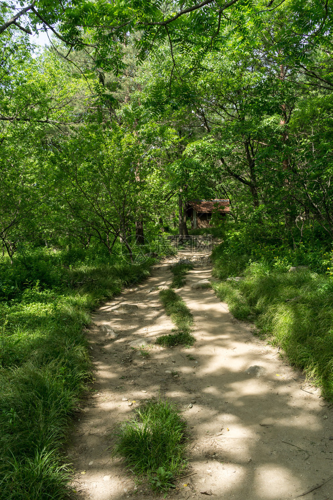 徒步在南韩的恒河山林景色上图片