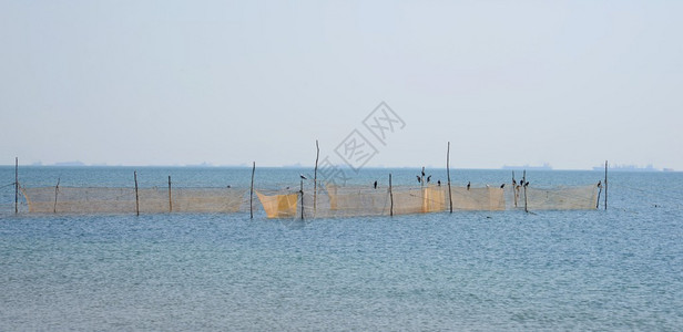 黑海沿岸阿纳普斯基区高清图片