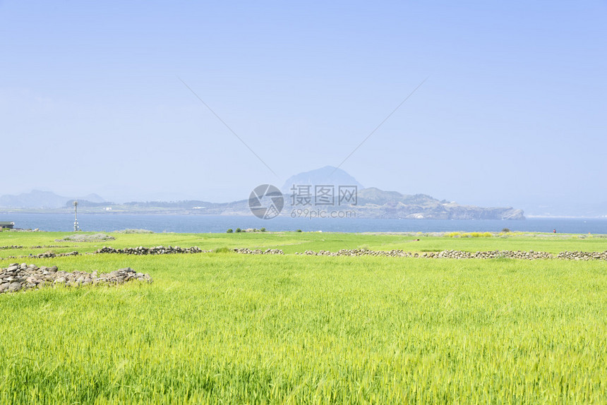 韩国济州岛Gapado岛绿色大麦田景色的Sanbangsan和Songaks图片