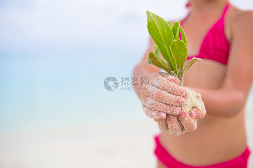 握着绿色树苗背景的手图片