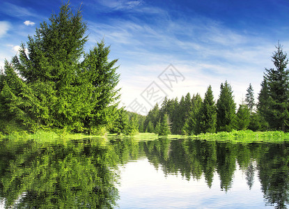Fir树林和绿色新鲜植被的山区湖图片