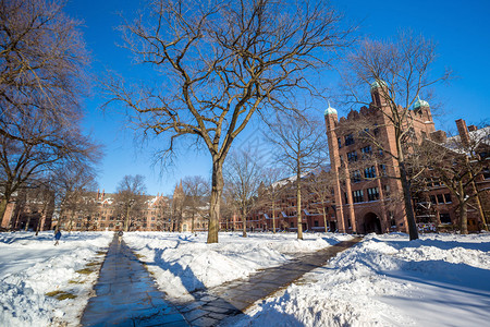 在美国首都新黑文的耶鲁大学楼下雪后冬季的背景图片