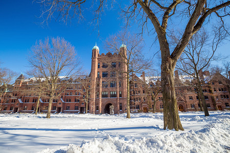 在美国首都新黑文的耶鲁大学楼下雪后冬季的背景图片