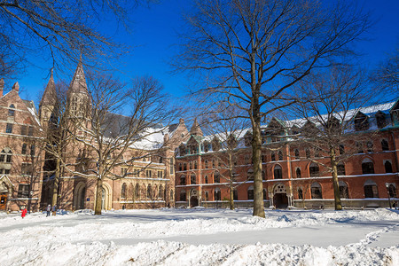 在美国首都新黑文的耶鲁大学楼下雪后冬季的高清图片