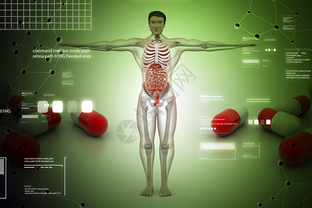 人体解剖学概念3d人体与彩色背景药丸图片