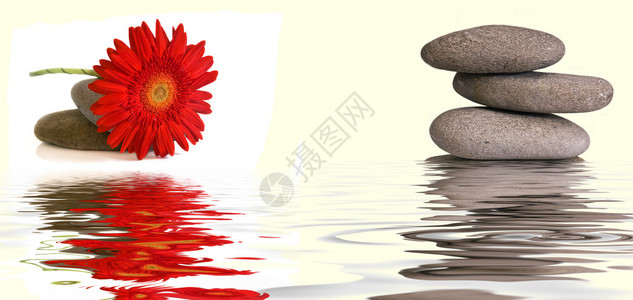 鹅卵石和红花倒影图片