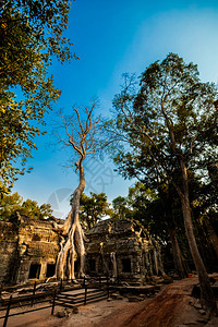 般若波罗蜜多心经书法作品Angkor考古公园古老佛教塔普罗姆寺庙的建筑柬埔寨纪念碑暹粒背景