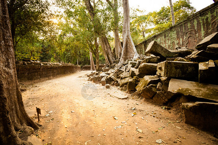 Angkor考古公园古老佛教塔普罗姆寺庙的建筑柬埔寨纪念碑暹粒背景图片