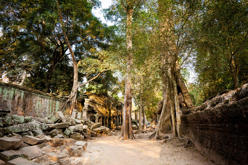 Angkor考古公园古老佛教塔普罗姆寺庙的建筑柬埔寨纪念碑暹粒图片