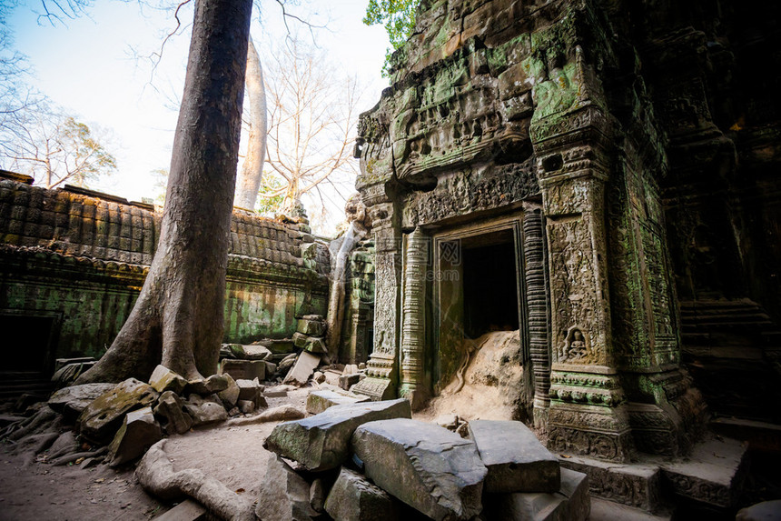 Angkor考古公园古老佛教塔普罗姆寺庙的建筑柬埔寨纪念碑暹粒图片