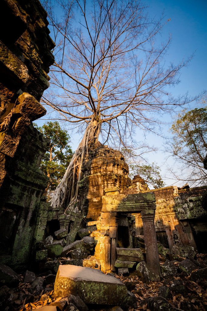 Angkor考古公园古老佛教塔普罗姆寺庙的建筑柬埔寨纪念碑暹粒图片