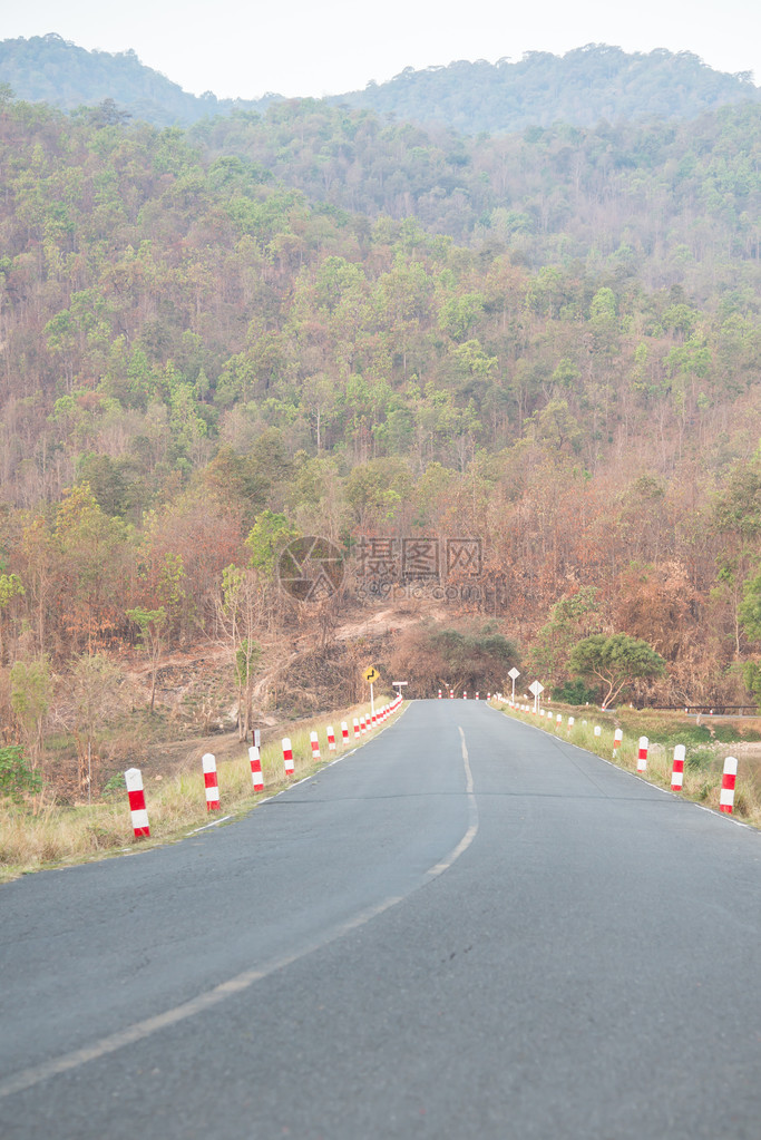 山背景中的道路图片