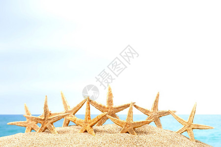 海星海洋海滩背景图片