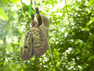 挂在树枝上的登山鞋背景图片