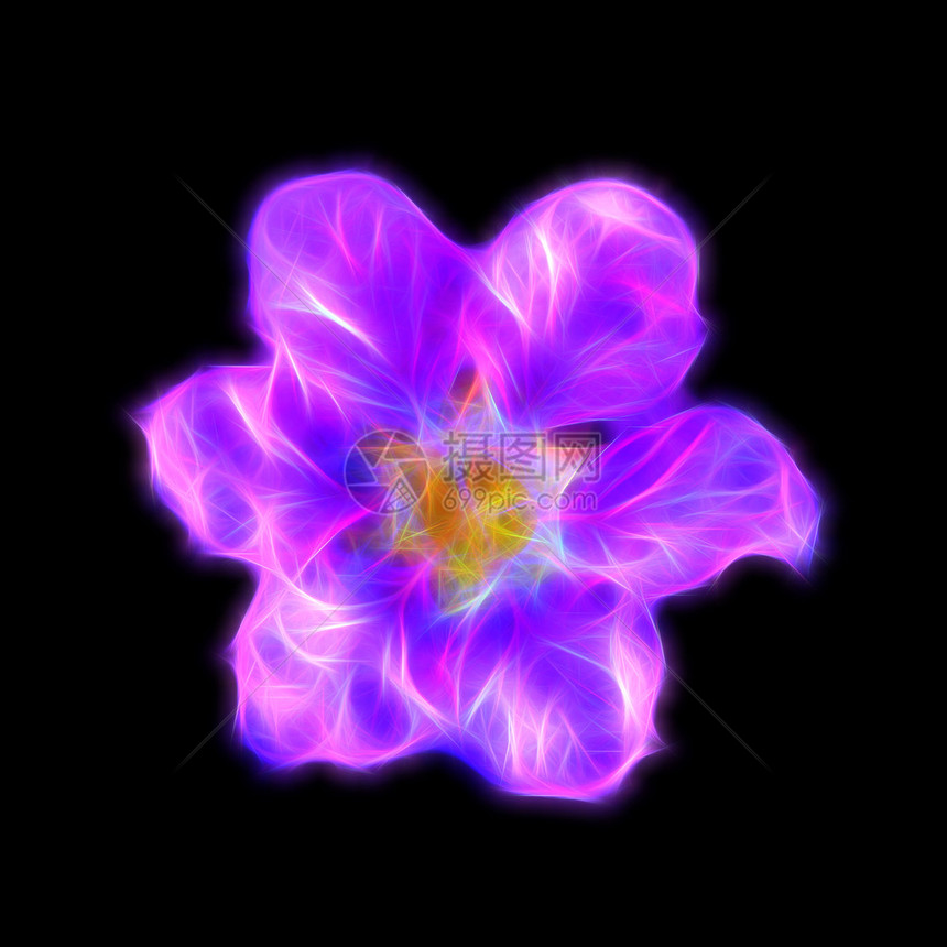 皇后紫薇花的发光图像图片
