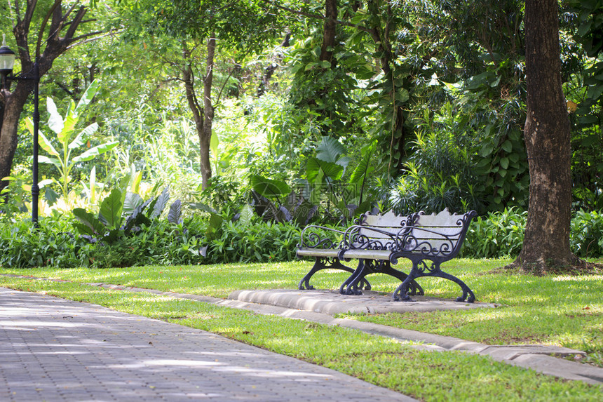 春天公园里的长凳自然背景图片