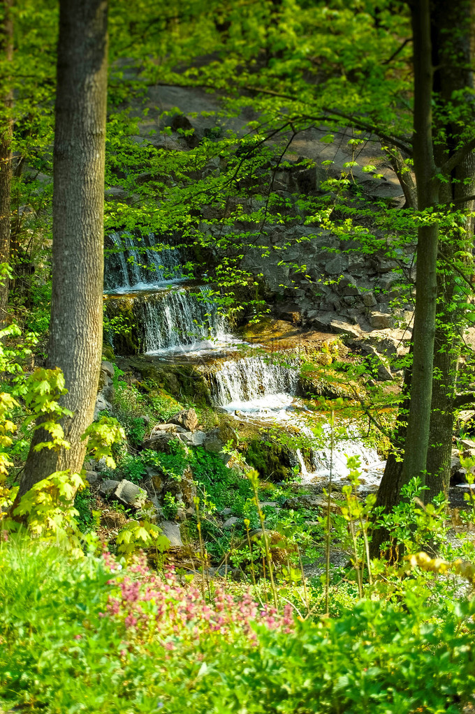 瀑布落在岩石上周围长着绿叶图片