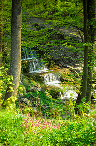 瀑布落在岩石上周围长着绿叶高清图片