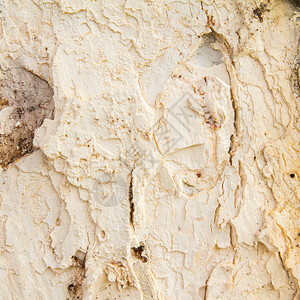 老木树皮纹理背景图案图片