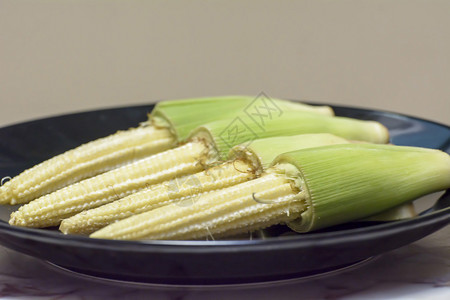 小玉米幼玉米或玉米粒是从早期收获的玉米中提取的谷物图片