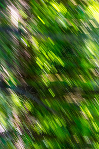 绿色夏日森林的模糊抽象背景具有运动效果图片