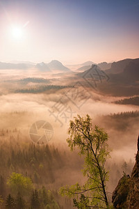 在美丽的山丘中弥漫着迷雾山峰从浓雾的图片