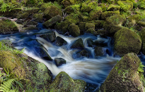 溪流穿过郁葱的绿色岩石图片