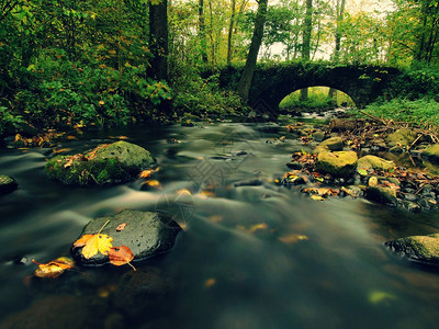 溪水满是五颜六色的树叶图片