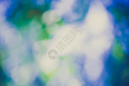 Blurry森林背地绿色森林bokeh的抽象图片