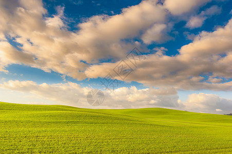 落日绿色领域和蓝色多云天空的风景图片