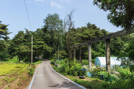 江钓翁位于南韩江奈翁的一条小农村自行车路背景