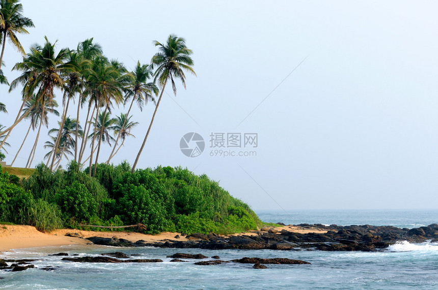 热带海滩外来图片