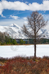 乌拉甘地区的Altai湖Kodelyukyol高清图片