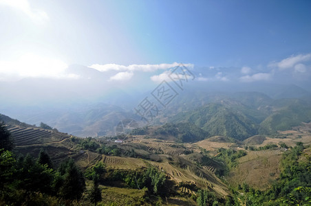 越南北部天然绿色水稻农场山图片