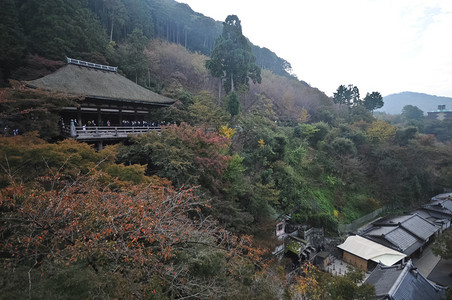 日本京都秋季的清美大寺图片
